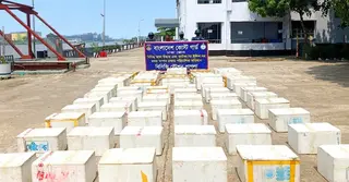 কোস্ট গার্ডের অভিযানে প্রায় ২ কোটি ৪৮ লাখ টাকার অবৈধ চিংড়ি রেণু জব্দ